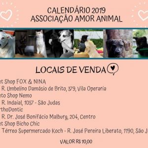 Calendário 2019 - Associação Amor Animal